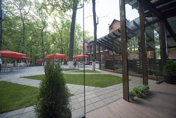 Вид из ресторана PARK на зеленую территорию