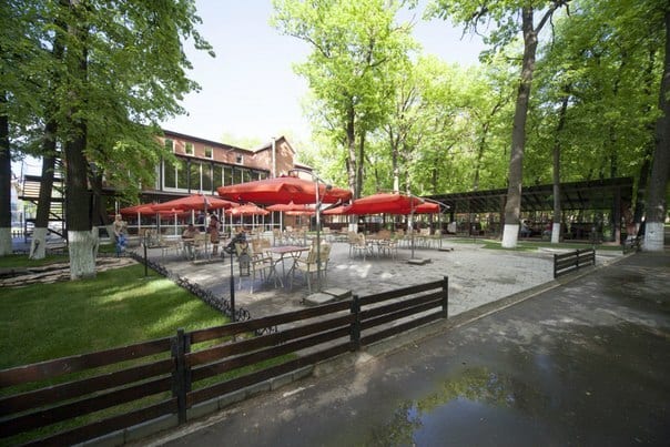 Летняя терраса ресторана PARK в зелени